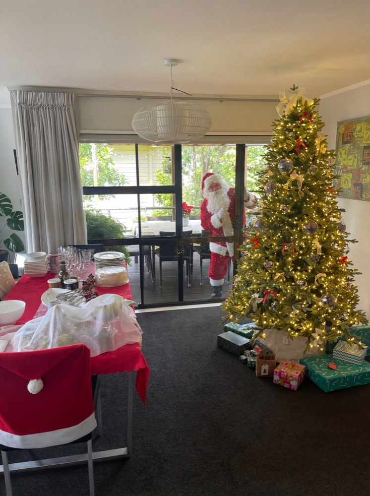 Santa peeking through the window