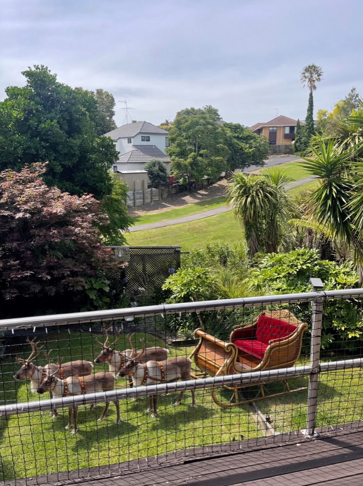 Reindeer and sleigh on the lawn